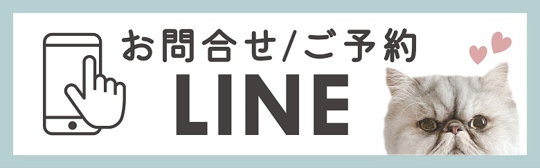 無料体験のお申し込み(LINEから)